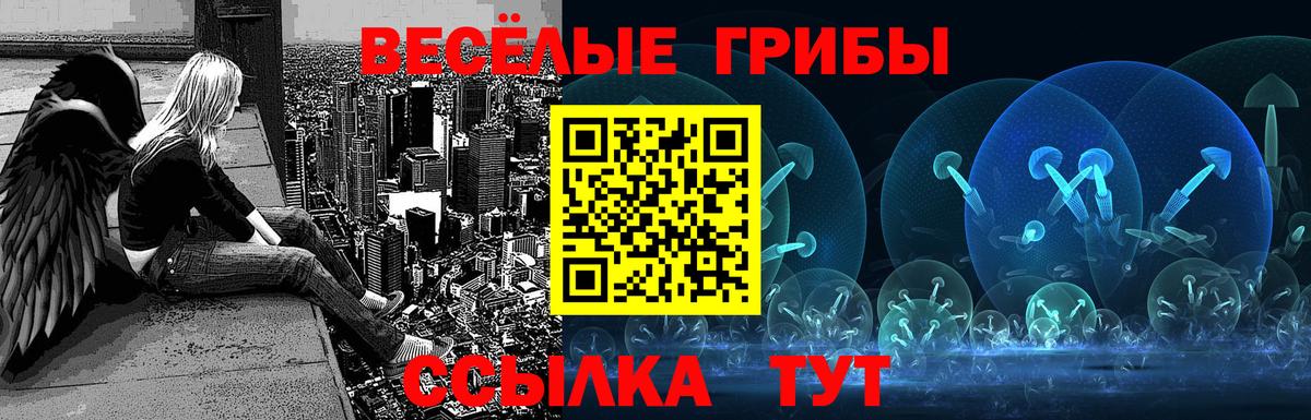 Галлюциногенные грибы Magic Shrooms  Вход с VPN  Гусев 