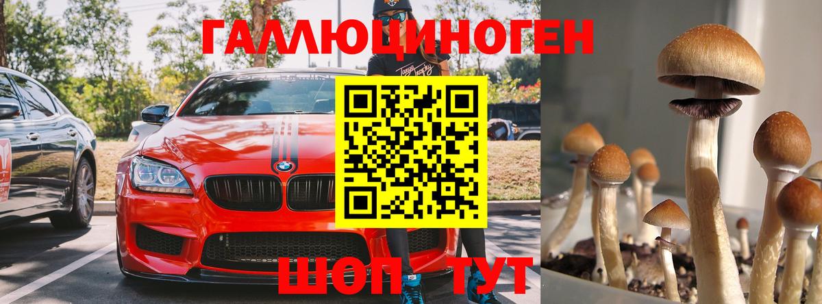 Псилоцибиновые грибы мухоморы Гусев
